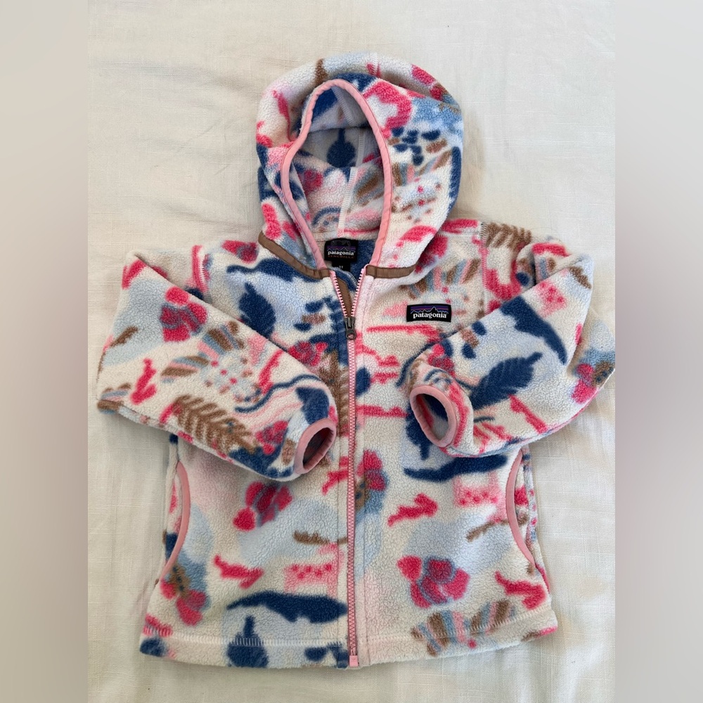Patagonia Synchilla Fleece Hoodie - 2T
